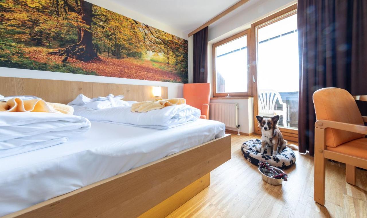 Superior Double Room,989639488:JPEG